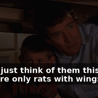 Now, just think of them this way. They're only rats with wings.