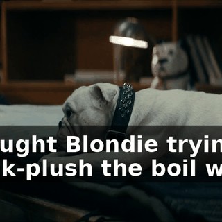 a3859785-728f-4df9-a58b-bcfd801dc9b9.gif