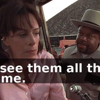 I see them all the time.