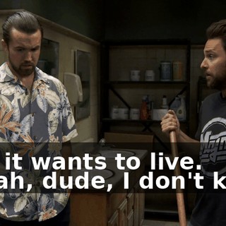 a39d8ae7-38f8-43ad-b172-8491b8600337.gif