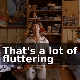 That's a lot of fluttering