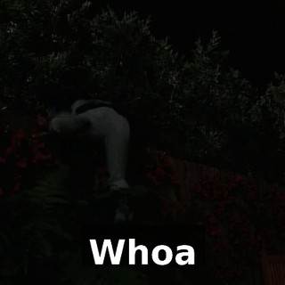 ♪ Whoa ♪