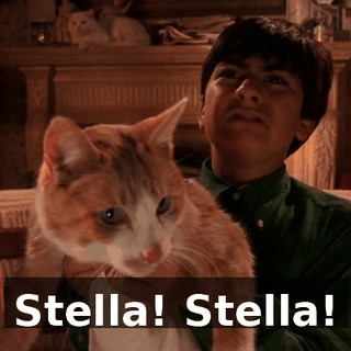 Stella! Stella!