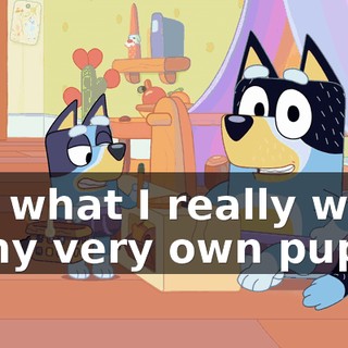 a45d655d-df4e-4f7b-850f-fe6ff152c9c5.gif