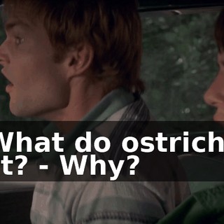 a47ea3d4-d7f8-4d81-b9db-59997b261ead.gif