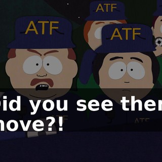 Did you see them move?!
