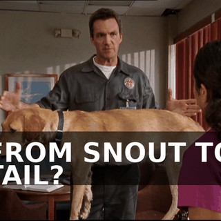 a4aea8ff-2fe1-47ee-9e96-f5433c619408.gif