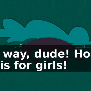 No way, dude! Home ec is for girls!
