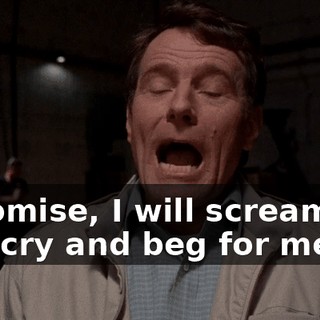 I promise, I will scream and cry and beg for mercy,