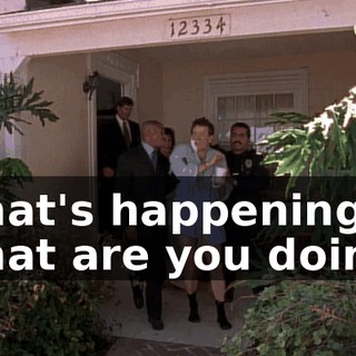 What's happening? What are you doing?