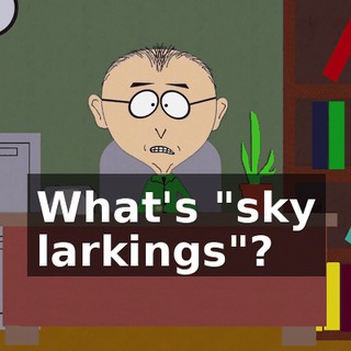 What's "sky larkings"?