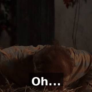 Oh...