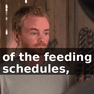 of the feeding schedules,