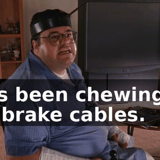 He's been chewing on my brake cables.