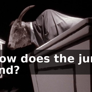 How does the jury find?