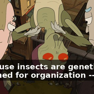 a5efda2f-0d9a-4ae4-96b0-59970bf1bf02.gif