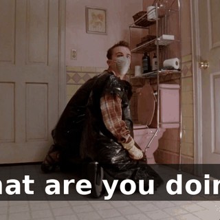 What are you doing?