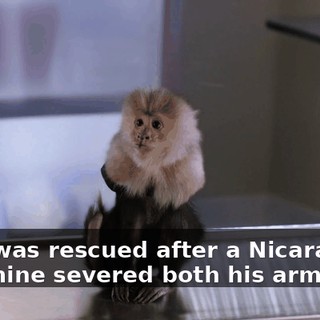 a61956eb-0652-48bd-a58e-7e8bf3daff23.gif