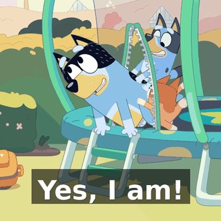 a62ff54d-b337-4918-bc19-091472673ef4.gif