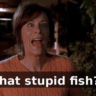 That stupid fish?!