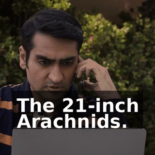 The 21-inch Arachnids.