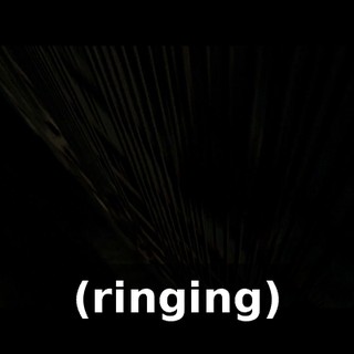 a67b5d0b-0857-4a35-821a-8f8e9d0d21b7.gif