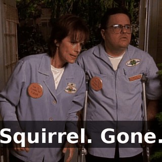 Squirrel. Gone.