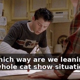 So which way are we leaning on the whole cat show situation?