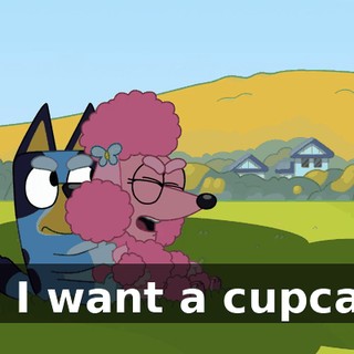 But I want a cupcake!