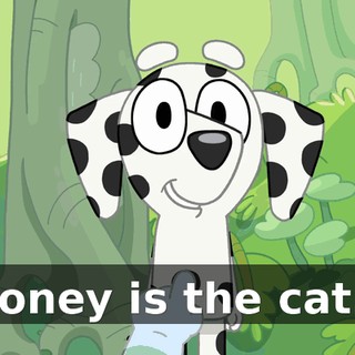 Honey is the cat…