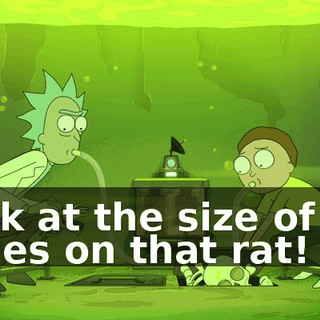a70c312e-4f85-4d66-9f2d-e49ed0b674e2.gif