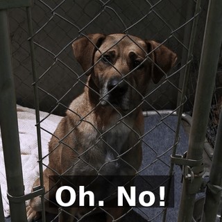 a7216be4-17ad-4070-9348-f86b7ac1c5f3.gif