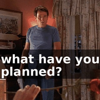 what have you planned?