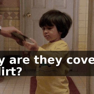 Why are they covered in dirt?