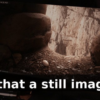 a73cfc36-7b51-4913-9f65-5ecafb430403.gif