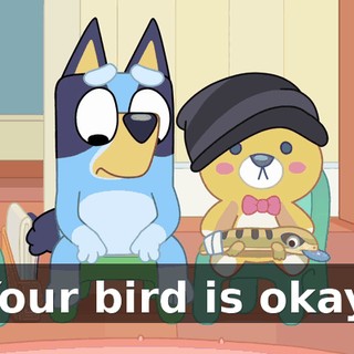 a769fb13-f498-4cd0-b4f1-801fe2822223.gif
