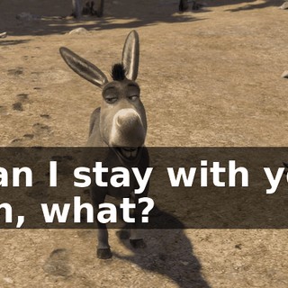 - Can I stay with you? - Uh, what?