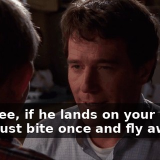 You see, if he lands on your head, he'll just bite once and fly away.