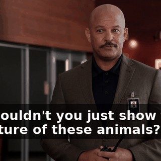 a78fde4b-78ac-4432-87b5-38f8984d9663.gif
