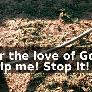 For the love of God, help me! Stop it!
