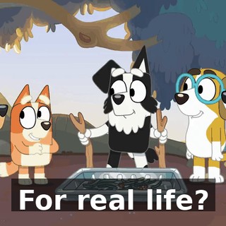 For real life?