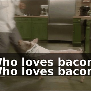 a7ba4086-2ed2-43ae-919f-fb2ca3b0e740.gif