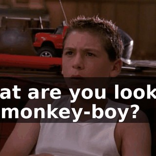 What are you looking at, monkey-boy?