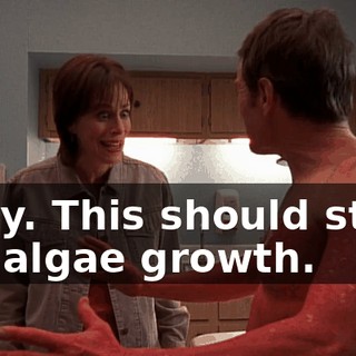 Okay. This should stunt the algae growth.