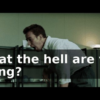 What the hell are you doing?