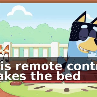 This remote control makes the bed