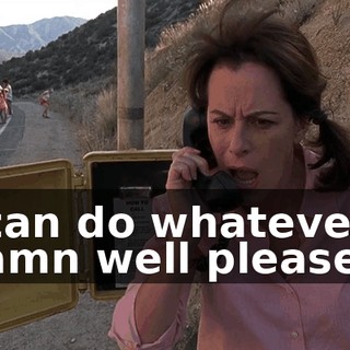 I can do whatever I damn well please.