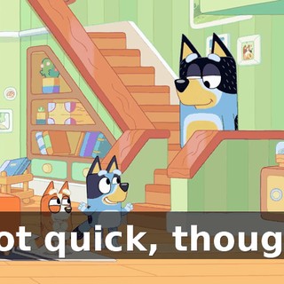 a86dcc6f-5aca-43cf-9c6a-202dfcb128ea.gif