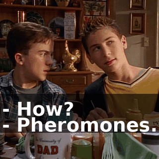 - How? - Pheromones.