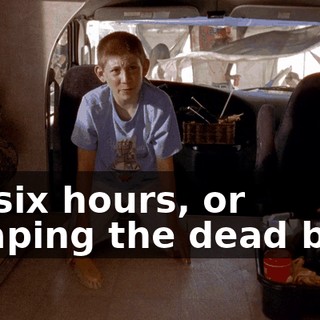 for six hours, or scraping the dead bugs